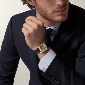 Original Cartier santos strap new